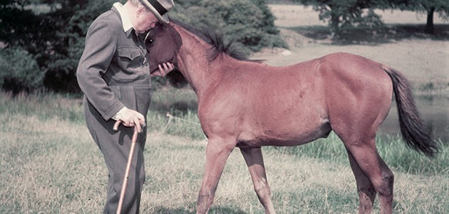 WSC with a thoroughbred colt, photographed for Life magazine, 1950s.