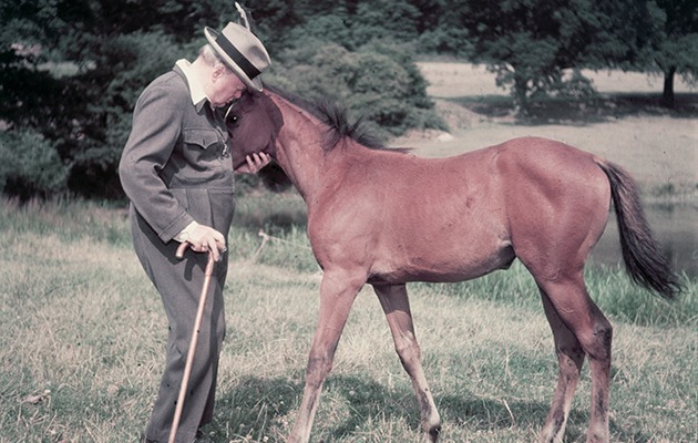 WSC with a thoroughbred colt, photographed for Life magazine, 1950s.